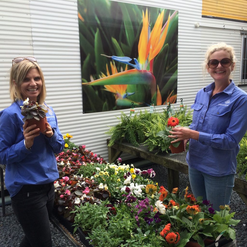 Hand selecting plants