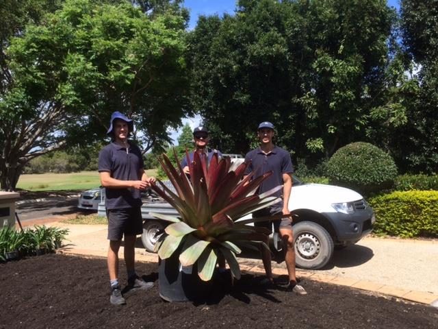 The team ready to install some bromeliads