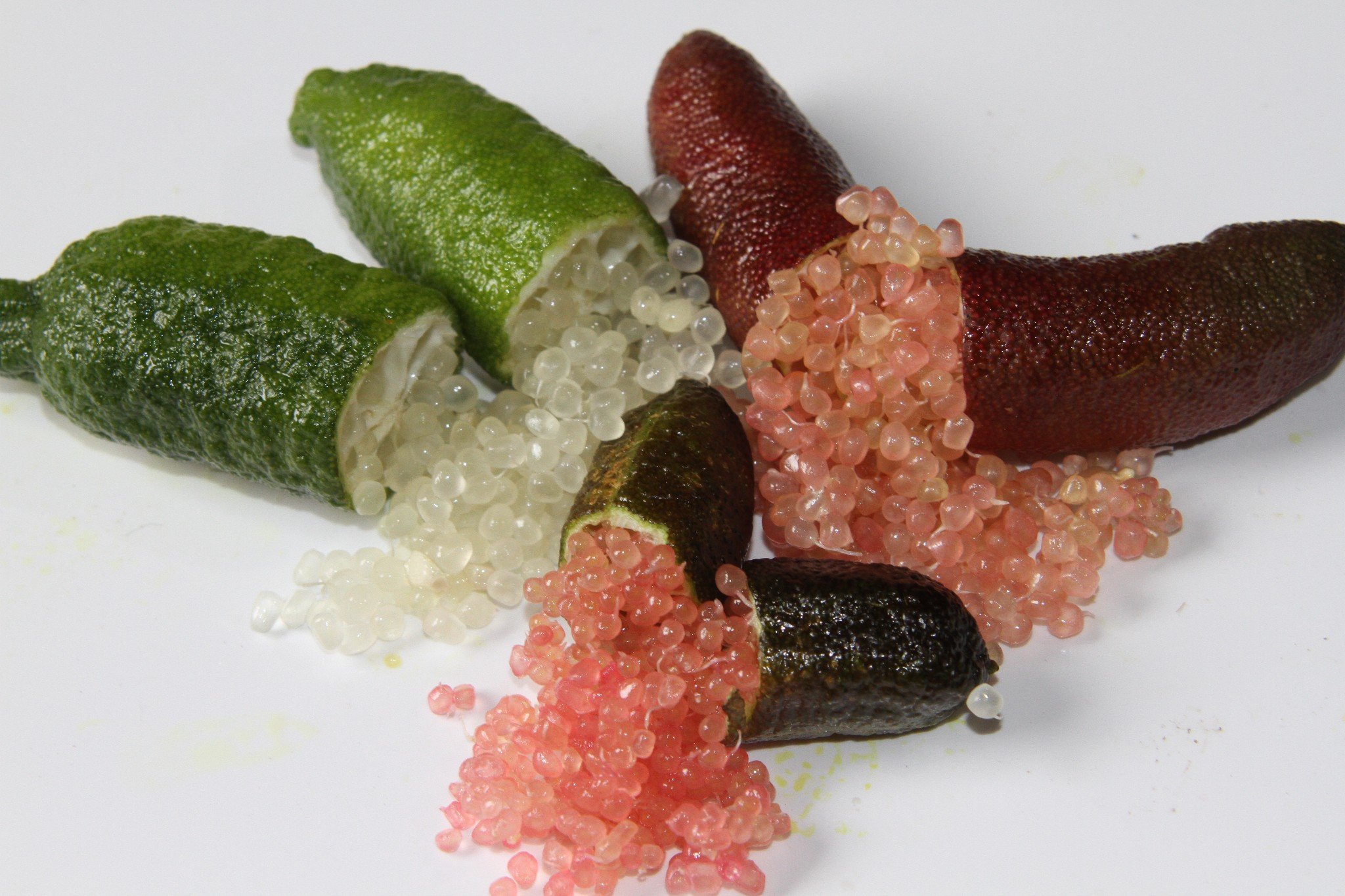 Finger limes Transforming Gardens Gold Coast Landscape