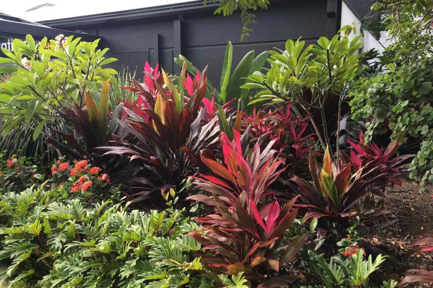 Transforming Gardens Gold Coast Landscape & Garden Design